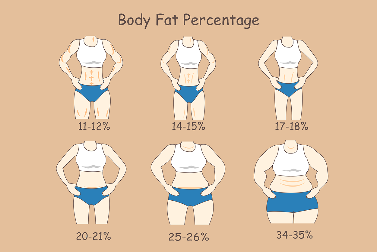 World Health Organization Body Fat Percentage Chart