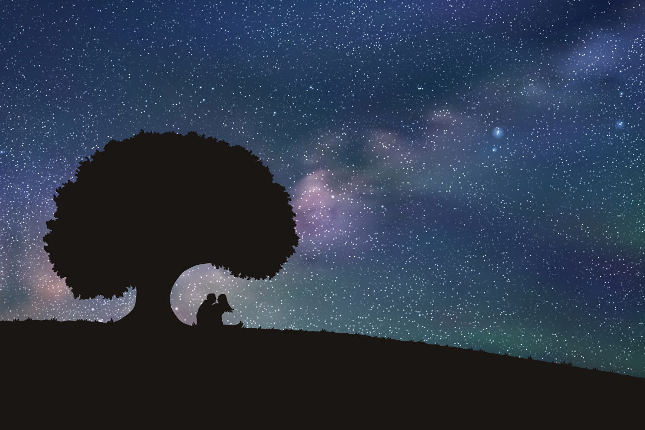 Couple under the milky way.