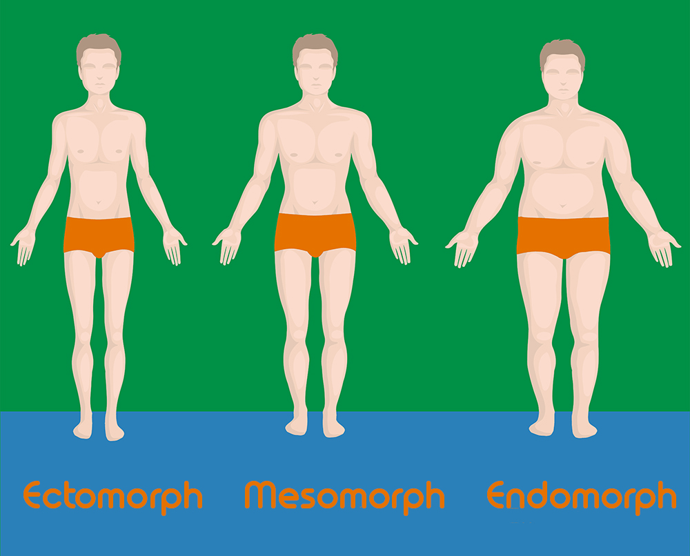 Protein Body Weight Chart