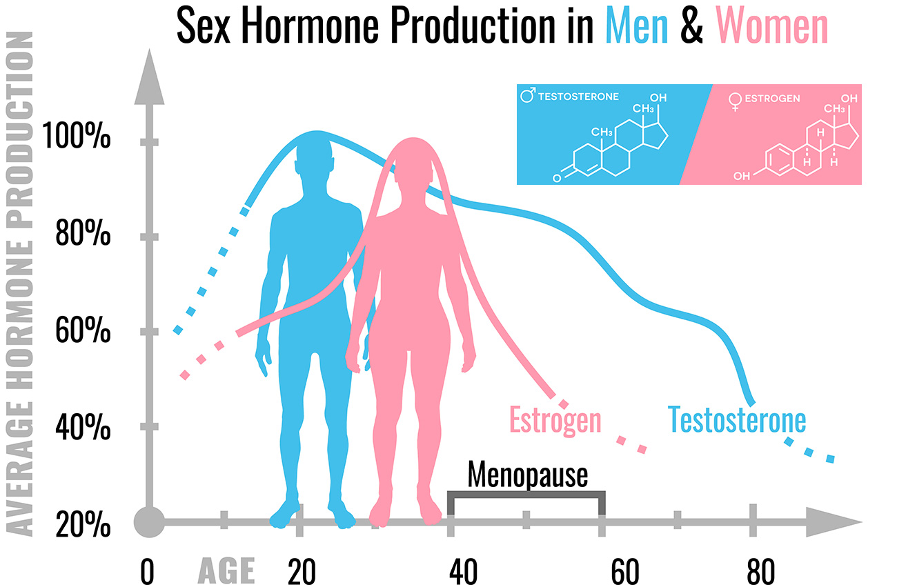 Age Calculator Online App